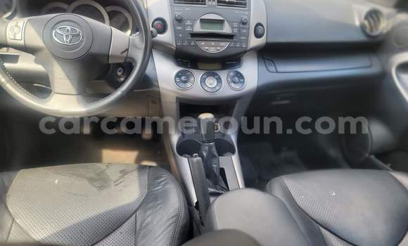 Buy Used Toyota RAV4 Silver Car in Yaounde in Central Cameroon Buy Used Toyota RAV4 Silver Car in Yaounde in Central Cameroon