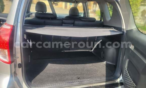 Buy Used Toyota RAV4 Silver Car in Yaounde in Central Cameroon Buy Used Toyota RAV4 Silver Car in Yaounde in Central Cameroon