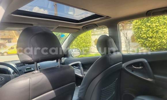 Buy Used Toyota RAV4 Silver Car in Yaounde in Central Cameroon Buy Used Toyota RAV4 Silver Car in Yaounde in Central Cameroon