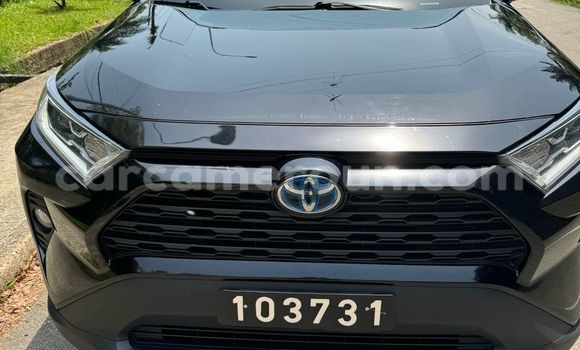 Acheter Import Voiture Toyota RAV4 Noir à Douala, Littoral Cameroon