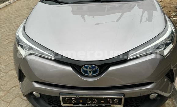 Acheter Occasion Voiture Toyota C-HR Gris à Douala, Littoral Cameroon