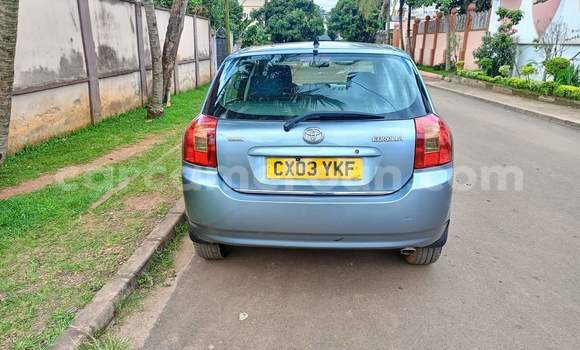 Sayi Na hannu Toyota Corolla Blue Mota in Yaounde a Babban Kamaru