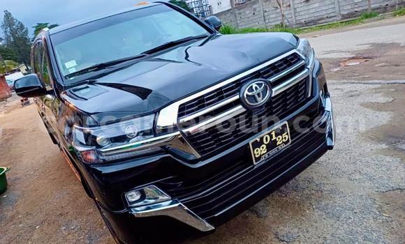 Buy Import Toyota Land Cruiser Black Car in Douala in Littoral Cameroon