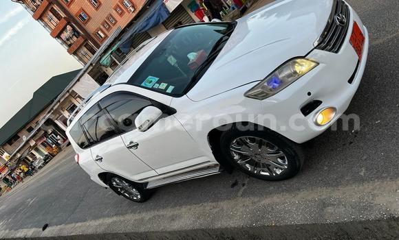 Buy Used Toyota Vanguard White Car in Douala in Littoral Cameroon