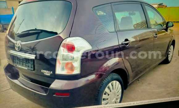 Sayi Imported Toyota Corolla Brown Mota in Douala a Ƙasar Kamaru Sayi Imported Toyota Corolla Brown Mota in Douala a Ƙasar Kamaru