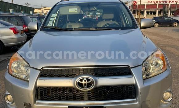 Acheter Import Voiture Toyota RAV4 Gris à Douala, Littoral Cameroon