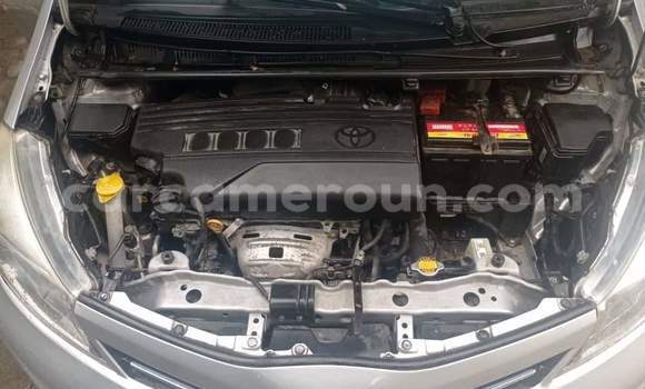 Buy Used Toyota Yaris Silver Car in Douala in Littoral Cameroon Buy Used Toyota Yaris Silver Car in Douala in Littoral Cameroon