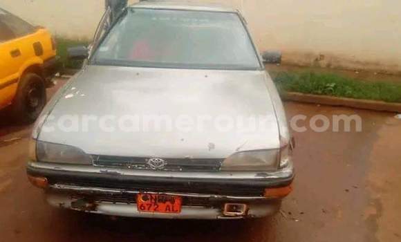Buy Used Toyota Allex Other Car in Bafang in West Cameroon Buy Used Toyota Allex Other Car in Bafang in West Cameroon