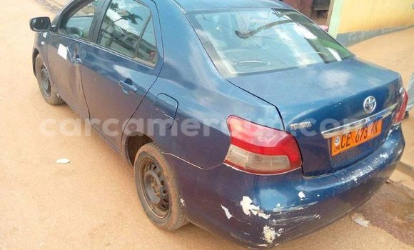 Buy Used Toyota Yaris Blue Car in Bafang in West Cameroon Buy Used Toyota Yaris Blue Car in Bafang in West Cameroon