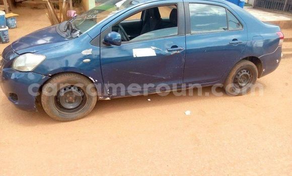 Buy Used Toyota Yaris Blue Car in Bafang in West Cameroon Buy Used Toyota Yaris Blue Car in Bafang in West Cameroon