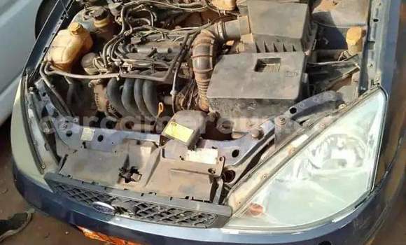 Buy Used Ford Focus Blue Car in Bafia in Central Cameroon Buy Used Ford Focus Blue Car in Bafia in Central Cameroon