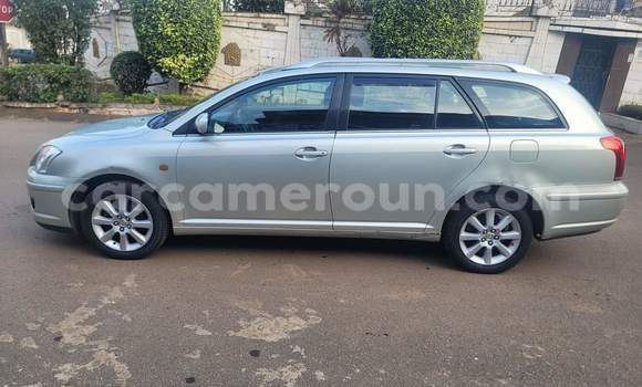 Buy Used Toyota Avensis Silver Car in Yaounde in Central Cameroon Buy Used Toyota Avensis Silver Car in Yaounde in Central Cameroon