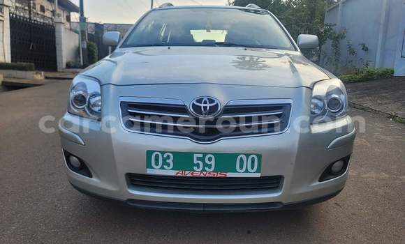 Buy Used Toyota Avensis Silver Car in Yaounde in Central Cameroon Buy Used Toyota Avensis Silver Car in Yaounde in Central Cameroon