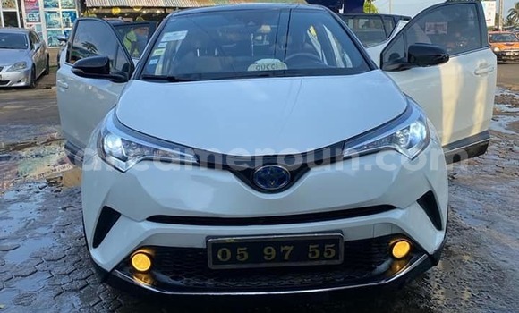 Buy Used Toyota 4Runner Other Car in Yaounde in Central Cameroon