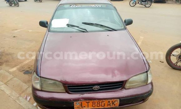 Acheter Occasion Voiture Acura CSX Autre à Yaoundé, Central Cameroon Acheter Occasion Voiture Acura CSX Autre à Yaoundé, Central Cameroon