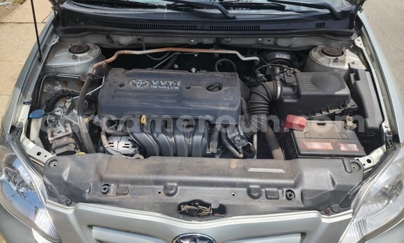 Acheter Occasion Voiture Toyota Corolla Bleu à Douala, Littoral Cameroon Acheter Occasion Voiture Toyota Corolla Bleu à Douala, Littoral Cameroon