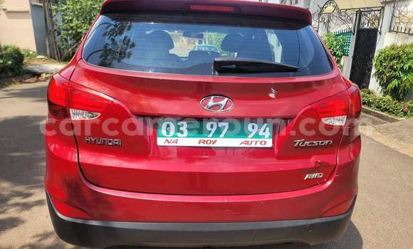 Sayi Na hannu Hyundai Tucson Red Mota in Yaounde a Babban Kamaru Sayi Na hannu Hyundai Tucson Red Mota in Yaounde a Babban Kamaru
