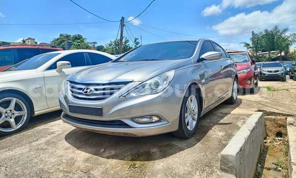 Buy Used Hyundai Sonata Silver Car in Yaounde in Central Cameroon Buy Used Hyundai Sonata Silver Car in Yaounde in Central Cameroon