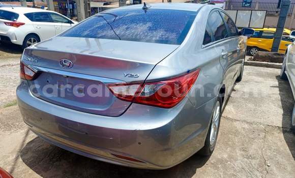 Buy Used Hyundai Sonata Silver Car in Yaounde in Central Cameroon Buy Used Hyundai Sonata Silver Car in Yaounde in Central Cameroon