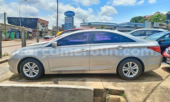 Buy Used Hyundai Sonata Silver Car in Yaounde in Central Cameroon Buy Used Hyundai Sonata Silver Car in Yaounde in Central Cameroon