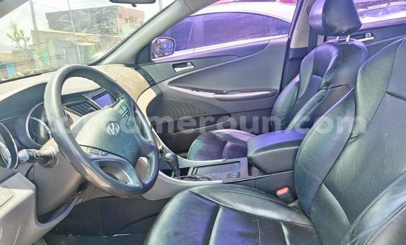 Buy Used Hyundai Sonata Silver Car in Yaounde in Central Cameroon Buy Used Hyundai Sonata Silver Car in Yaounde in Central Cameroon
