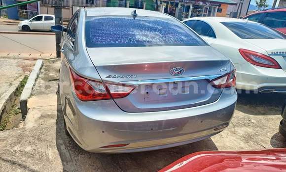 Buy Used Hyundai Sonata Silver Car in Yaounde in Central Cameroon Buy Used Hyundai Sonata Silver Car in Yaounde in Central Cameroon