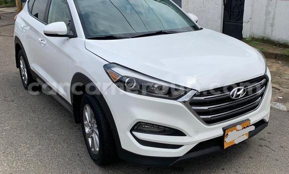 Buy Import Hyundai Tucson White Car in Douala in Littoral Cameroon Buy Import Hyundai Tucson White Car in Douala in Littoral Cameroon