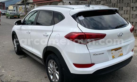 Acheter Import Voiture Hyundai Tucson Blanc à Douala, Littoral Cameroon Acheter Import Voiture Hyundai Tucson Blanc à Douala, Littoral Cameroon