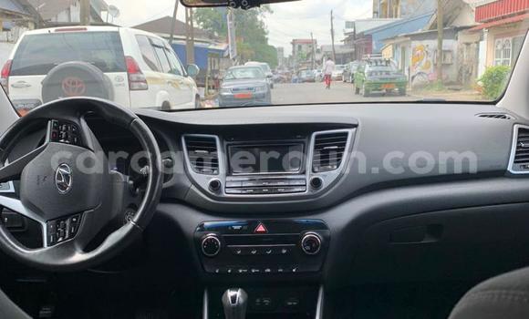 Acheter Import Voiture Hyundai Tucson Blanc à Douala, Littoral Cameroon Acheter Import Voiture Hyundai Tucson Blanc à Douala, Littoral Cameroon