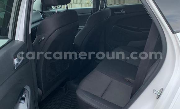 Acheter Import Voiture Hyundai Tucson Blanc à Douala, Littoral Cameroon Acheter Import Voiture Hyundai Tucson Blanc à Douala, Littoral Cameroon