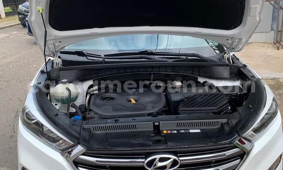 Acheter Import Voiture Hyundai Tucson Blanc à Douala, Littoral Cameroon Acheter Import Voiture Hyundai Tucson Blanc à Douala, Littoral Cameroon