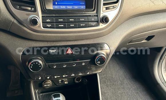 Acheter Import Voiture Hyundai Tucson Blanc à Douala, Littoral Cameroon Acheter Import Voiture Hyundai Tucson Blanc à Douala, Littoral Cameroon