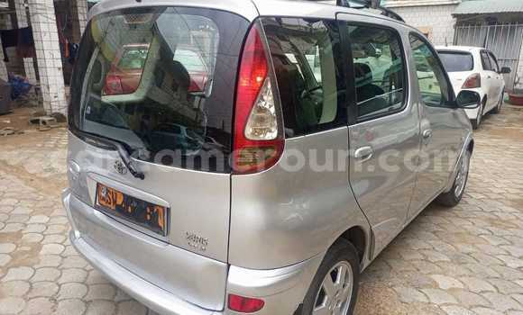 Buy Used Toyota Yaris Verso Silver Car in Douala in Littoral Cameroon