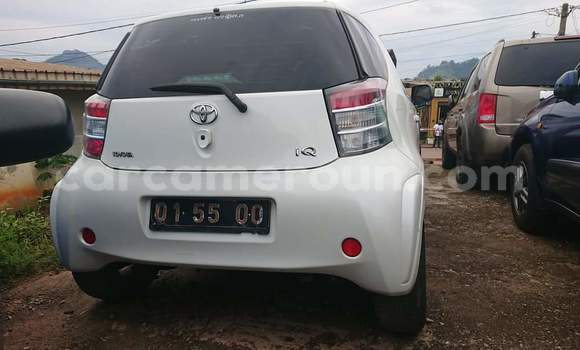 Buy Used Toyota iQ White Car in Yaounde in Central Cameroon Buy Used Toyota iQ White Car in Yaounde in Central Cameroon