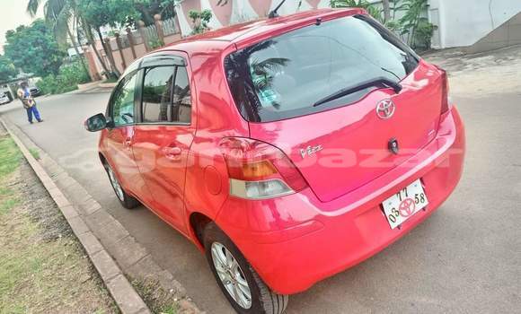 Buy Used Toyota Yaris Red Car in Yaounde in Central Cameroon Buy Used Toyota Yaris Red Car in Yaounde in Central Cameroon