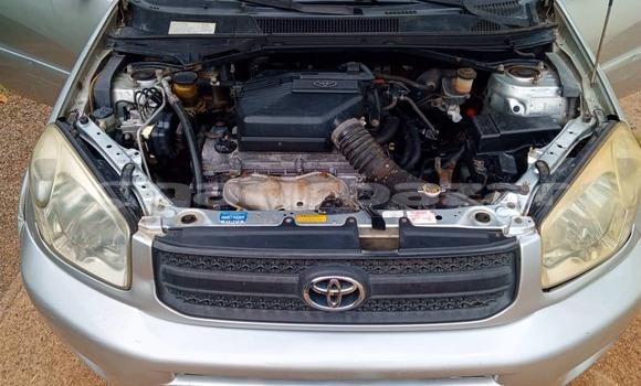 Buy Used Toyota RAV4 Silver Car in Yaounde in Central Cameroon Buy Used Toyota RAV4 Silver Car in Yaounde in Central Cameroon