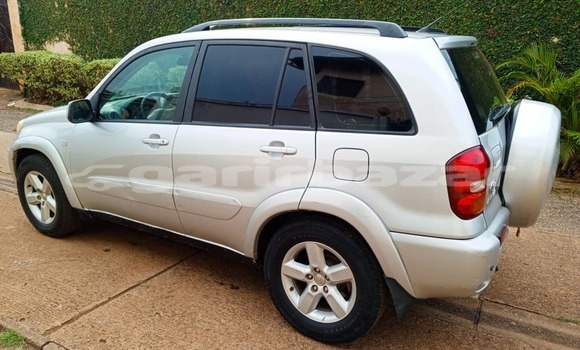 Buy Used Toyota RAV4 Silver Car in Yaounde in Central Cameroon Buy Used Toyota RAV4 Silver Car in Yaounde in Central Cameroon