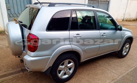 Buy Used Toyota RAV4 Silver Car in Yaounde in Central Cameroon Buy Used Toyota RAV4 Silver Car in Yaounde in Central Cameroon