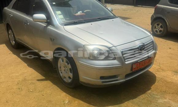 Buy Used Toyota Avensis Silver Car in Douala in Littoral Cameroon Buy Used Toyota Avensis Silver Car in Douala in Littoral Cameroon