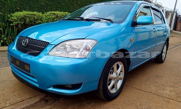 Sayi Na hannu Toyota Corolla Blue Mota in Yaounde a Babban Kamaru Sayi Na hannu Toyota Corolla Blue Mota in Yaounde a Babban Kamaru
