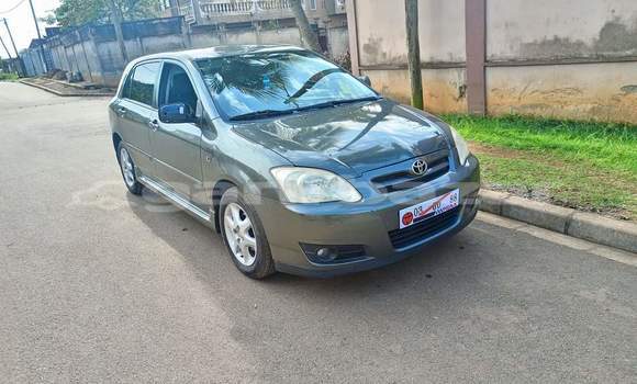 Sayi Na hannu Toyota Corolla Brown Mota in Yaounde a Babban Kamaru