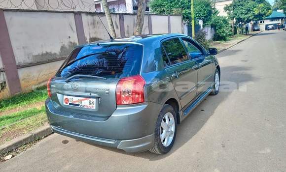 Buy Used Toyota Corolla Brown Car in Yaounde in Central Cameroon Buy Used Toyota Corolla Brown Car in Yaounde in Central Cameroon