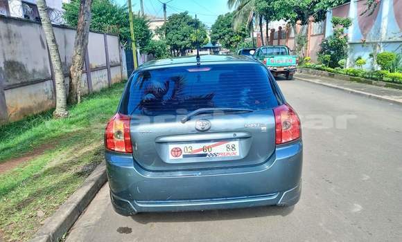 Buy Used Toyota Corolla Brown Car in Yaounde in Central Cameroon Buy Used Toyota Corolla Brown Car in Yaounde in Central Cameroon