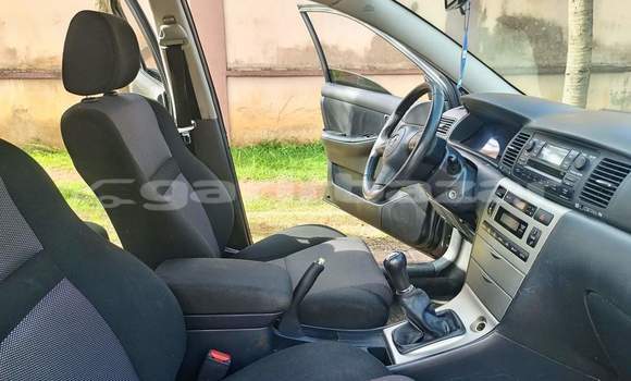Buy Used Toyota Corolla Brown Car in Yaounde in Central Cameroon Buy Used Toyota Corolla Brown Car in Yaounde in Central Cameroon