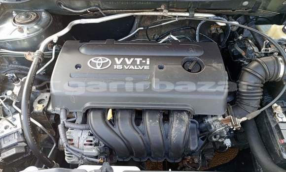 Buy Used Toyota Corolla Brown Car in Yaounde in Central Cameroon Buy Used Toyota Corolla Brown Car in Yaounde in Central Cameroon