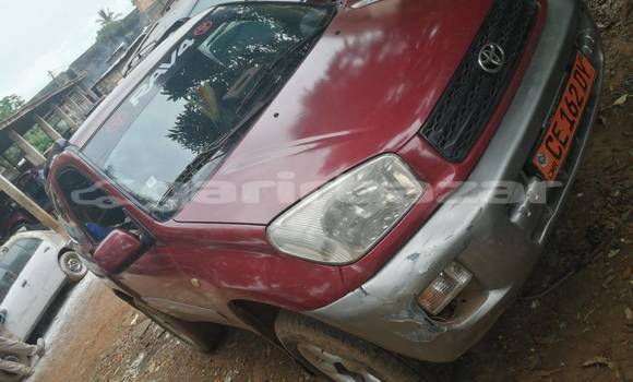 Buy Used Toyota RAV4 Red Car in Douala in Littoral Cameroon