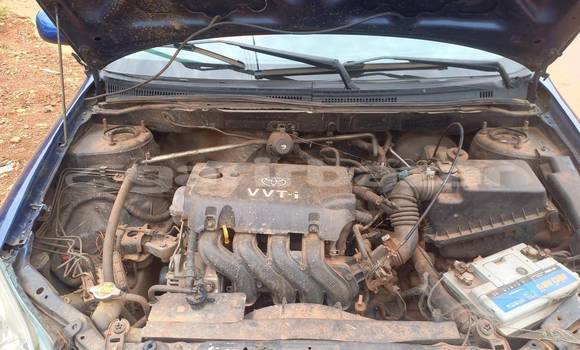 Acheter Occasion Voiture Toyota Runx Bleu à Ambam, South Cameroon Acheter Occasion Voiture Toyota Runx Bleu à Ambam, South Cameroon