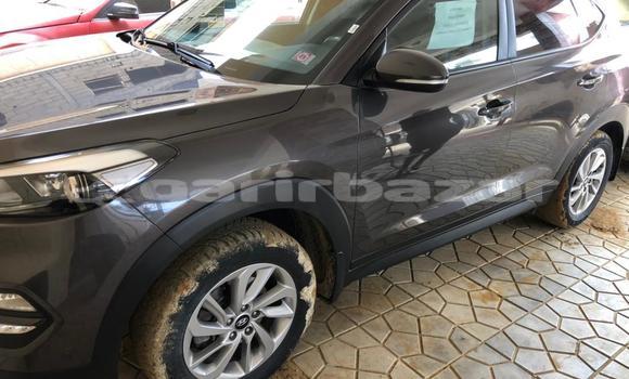 Buy New Hyundai Tucson Silver Car in Douala in Littoral Cameroon