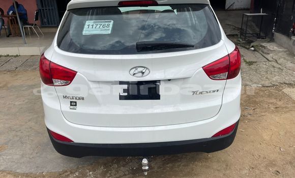 Buy Import Hyundai Tucson White Car in Douala in Littoral Cameroon Buy Import Hyundai Tucson White Car in Douala in Littoral Cameroon