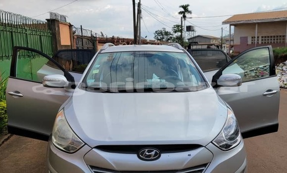 Buy Used Hyundai Tucson Beige Car in Yaounde in Central Cameroon Buy Used Hyundai Tucson Beige Car in Yaounde in Central Cameroon